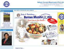 Tablet Screenshot of mushroomnh.com